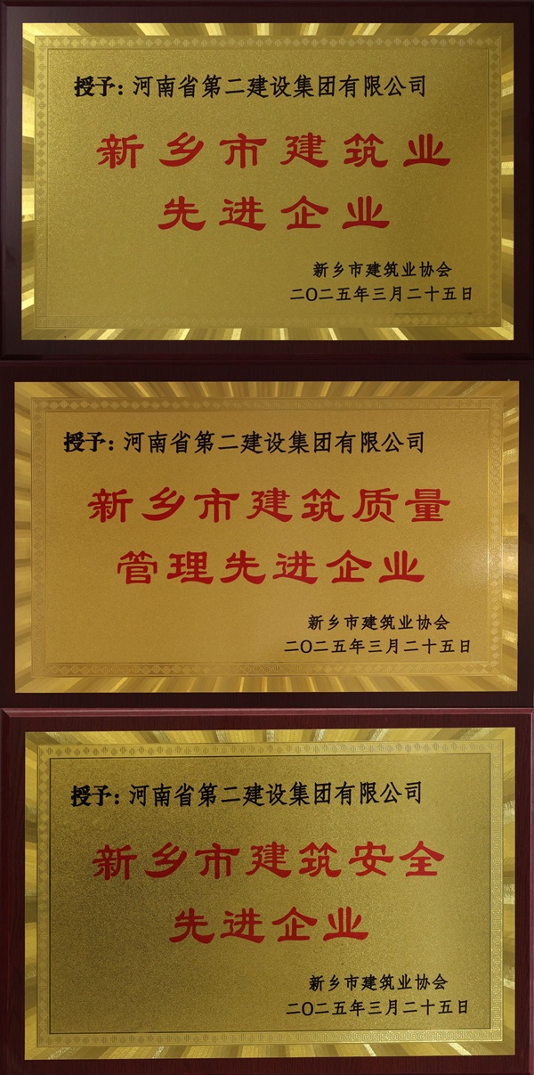 明博在线(中国)奖牌拼图.jpg